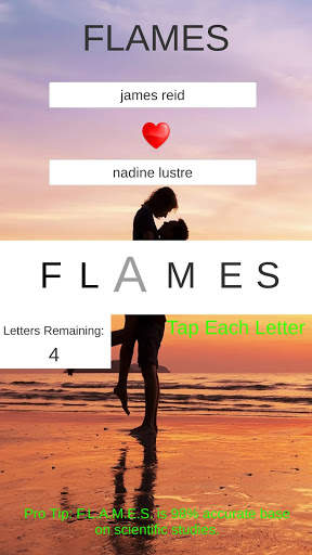 F.L.A.M.E.S. screenshot 2