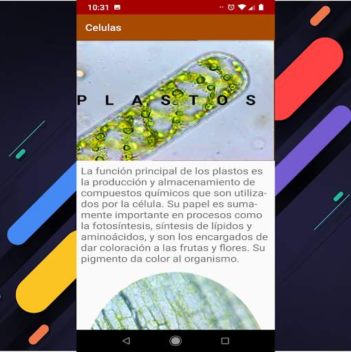 Organelos de la Celula screenshot 3