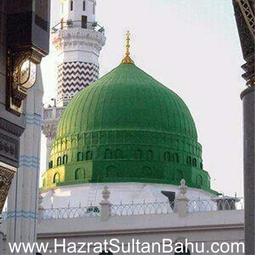 Madina Live TV HD 14.0