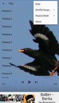 Chirping White-vented Myna screenshot 4