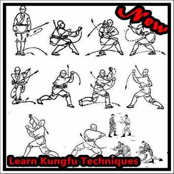 Learn Kung Fu Techniques screenshot 1