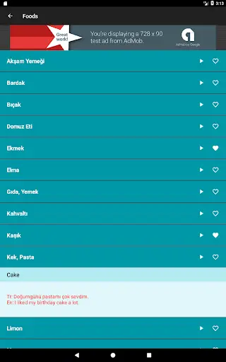 Learn Turkish: Free Offline Audio Dictionary screenshot 9
