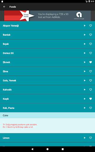Learn Turkish: Free Offline Audio Dictionary screenshot 9