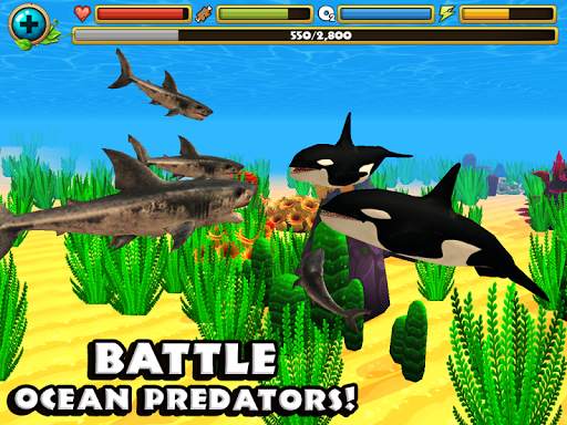 Wildlife Simulator: Shark screenshot 8