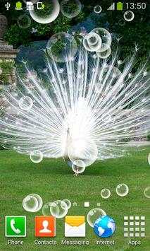 Peacock Live Wallpapers 5 تصوير الشاشة