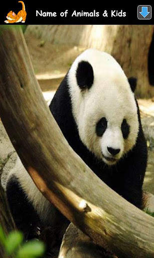 Animal Sounds for Kids Lite screenshot 2