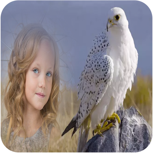 Birds Photo Frames icon