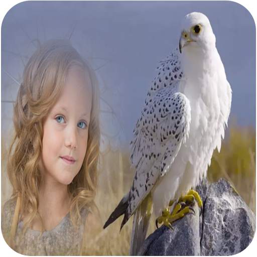 Birds Photo Frames 1.6