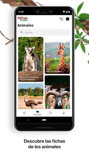 Africam Safari скриншот 3