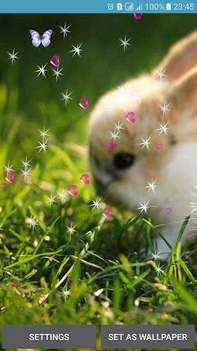 Rabbit Live Wallpaper screenshot 8