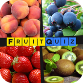 Fruit Quiz Game icon