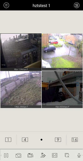 Pollo Live screenshot 3