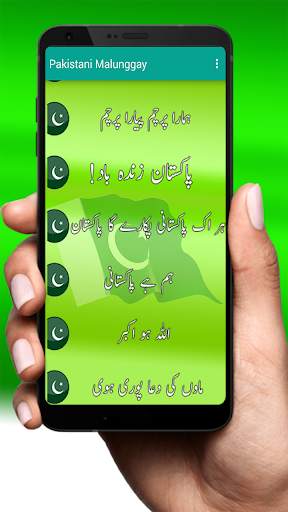 Pakistani Milli Naghmay (National Songs) Offline screenshot 5