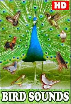 Birds Sounds स्क्रीनशॉट 1
