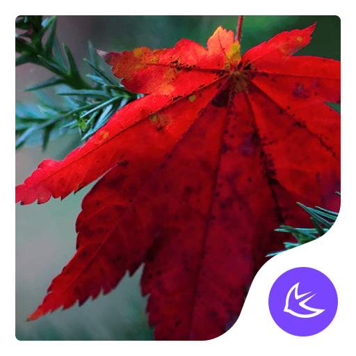 Maple leaf-APUS Launcher theme 668.0.1001