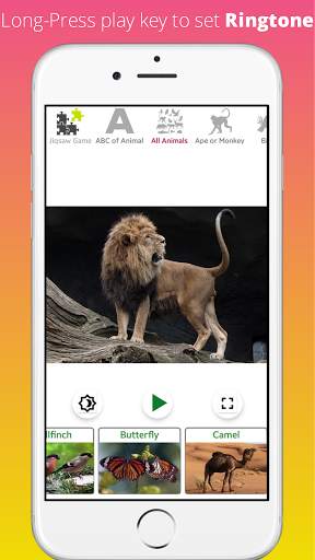 Animal Sounds: Ark:  Pro Learn screenshot 2