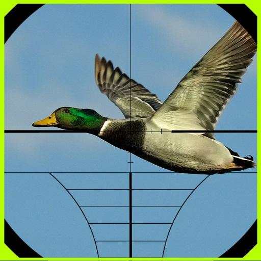 Duck Hunter Game 2.2