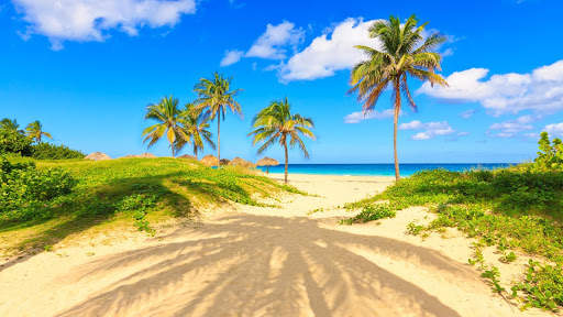 Beach Live Wallpaper (Wallpapers & Backgrounds) screenshot 5