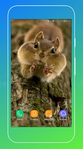 Squirrel Wallpaper screenshot 6
