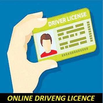 Online Driving Licence screenshot 2