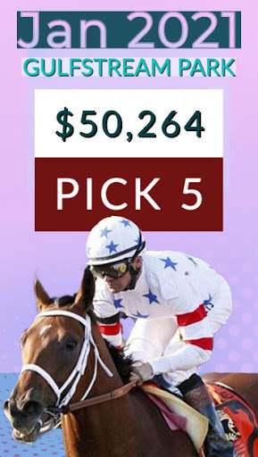 Betting Tips Horse Racing screenshot 3