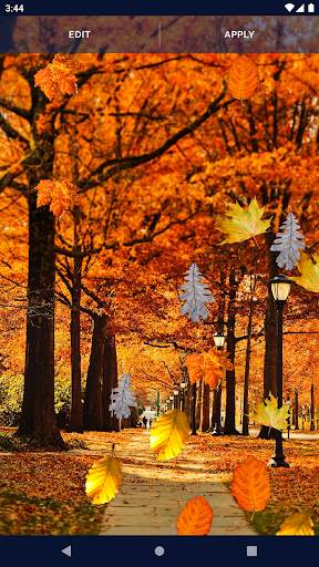 Autumn Leaves Live Wallpaper screenshot 7