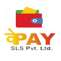 Way Pay icon