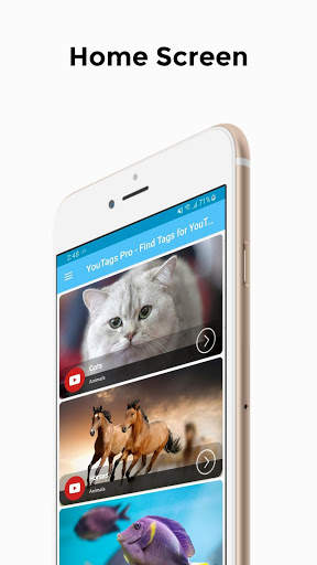 YouTags Pro - Find Tags for YouTube Videos screenshot 1