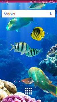 Fish Wallpapers screenshot 1