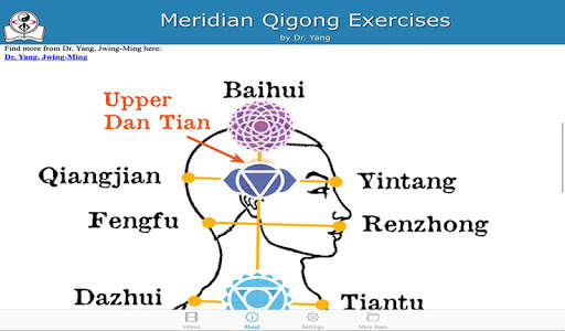 Meridian Qigong Exercises screenshot 4