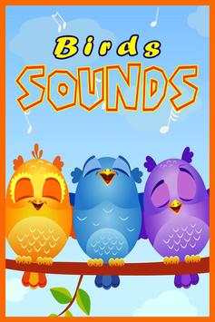 Birds sounds Ringtones screenshot 2