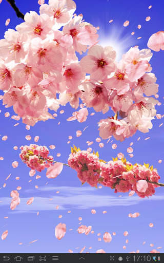 Sakura Free Live Wallpaper screenshot 1