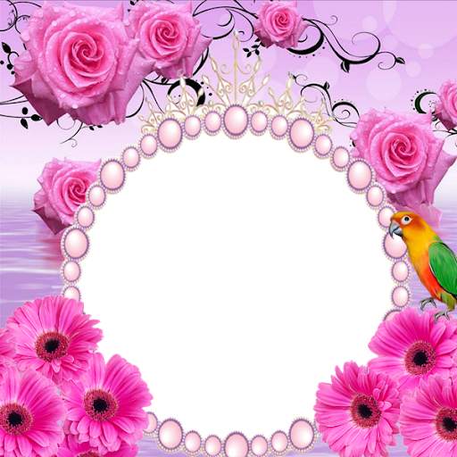 Flower Insta DP 1 تصوير الشاشة