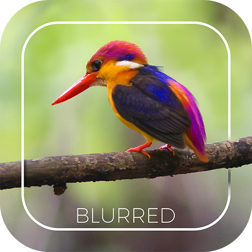 Automatic Blur Camera - DSLR Effect icon
