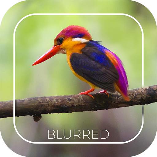 Automatic Blur Camera - DSLR Effect 11.0
