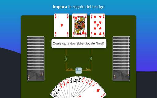 Fun Bridge screenshot 10