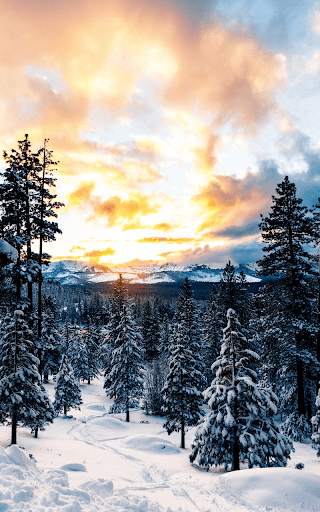 Snow Live Wallpaper HD screenshot 6