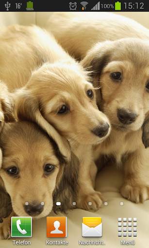 Puppies dogs live wallpaper screenshot 1