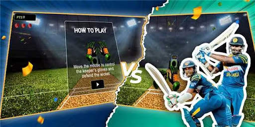 Cricket Bowler screenshot 1