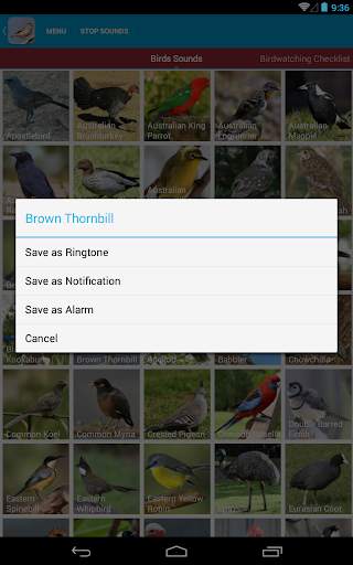 Australian Birds Sounds Free स्क्रीनशॉट 15