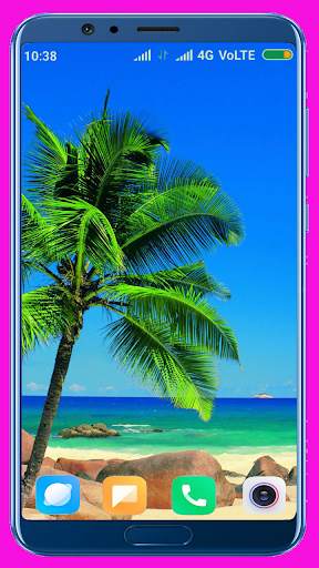 Palm Tree Wallpaper screenshot 4