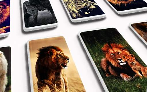 Nice Lion Wallpaper screenshot 1