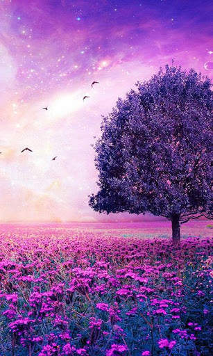 Flowers Wallpaper HD screenshot 2