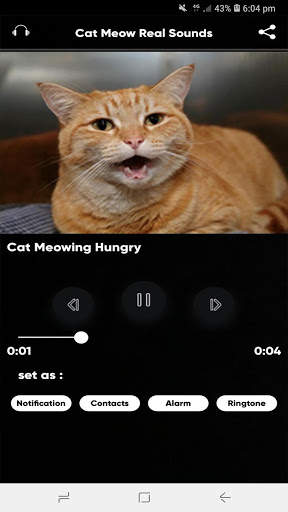 Cat Meow Real Sounds screenshot 2