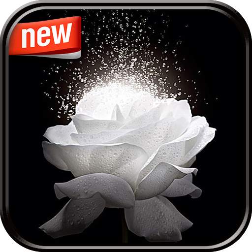 Rose Photo Frame 1.0.6