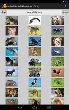 Funny Animal Sounds screenshot 5