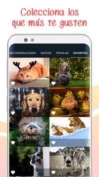 Funny Wallpapers screenshot 4