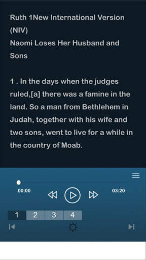 holy bible niv free screenshot 12