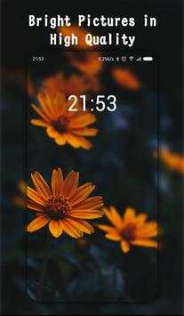 HD Wallpapers screenshot 2