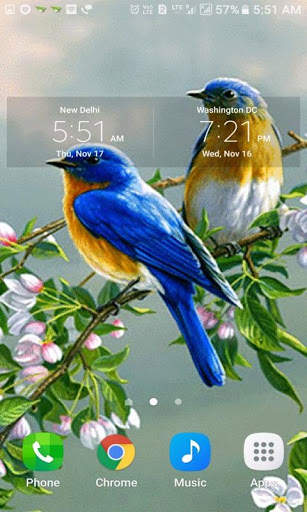 Loving Bird Live Wallpaper screenshot 3